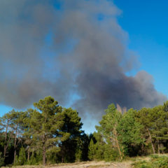 La Junta declara «peligro medio» de incendios forestales hasta el jueves 6 de junio