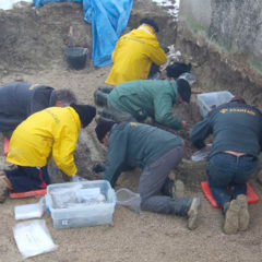 Identificados los restos del segundo de «los seis de Nava» en la exhumación de Oteiza