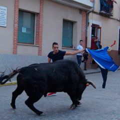 Vuelven los toros a Carbonero el Mayor en las fiestas de San Juan