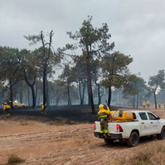Los rayos causaron incendios en Cuéllar, Hontalbilla y Fuenterrebollo