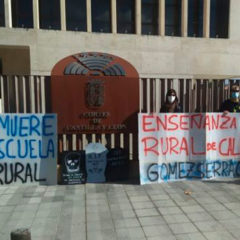 Vecinos de Gomezserracín exigen en las Cortes un cuarto docente para el colegio