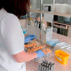 Noticias del ‘otro lao’: Cuéllar almacenará las vacunas anti-Covid de Pfizer