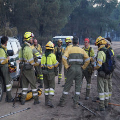Abierto el plazo para las bolsas de empleo de personal del operativo contra incendios forestales