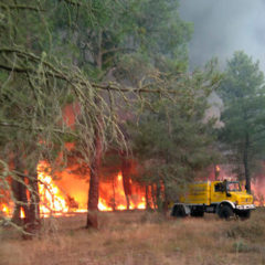La Junta declara alerta de riesgo de incendios forestales por causas meteorológicas