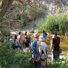 Paseo ecológico por el río Cega en el Cegafest 2021