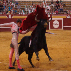 Cuéllar celebrará con 3 corridas de toros las fiestas del Rosario