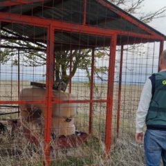 Dos investigados por el robo de 1.900 litros de gasoil agrícola en Nava de la Asunción
