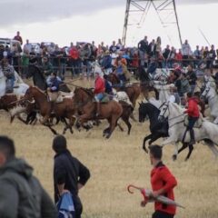 En Olmedo se cerró el ciclo de encierros a caballo en la Comunidad