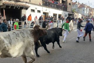 Un joven cuellarano de 20 años corneado en el tercer encierro